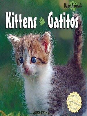 cover image of Kittens / Gatitos